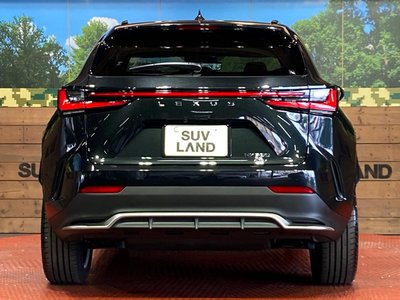 2025 Lexus NX — миниатюра 16