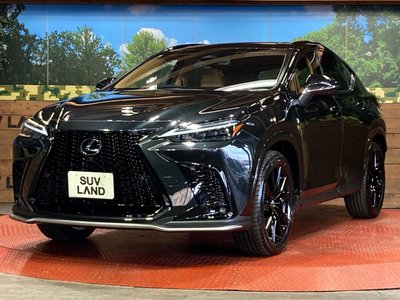 2025 Lexus NX — миниатюра 26