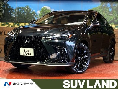 LEXUS NX - 1