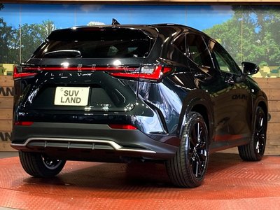 2025 Lexus NX — миниатюра 17