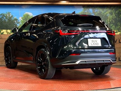2025 Lexus NX — миниатюра 28