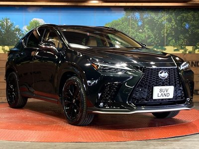 2025 Lexus NX — миниатюра 15