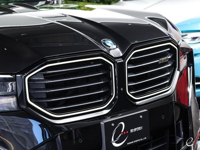 صورة مصغرة 21 لـ 2023 BMW XM