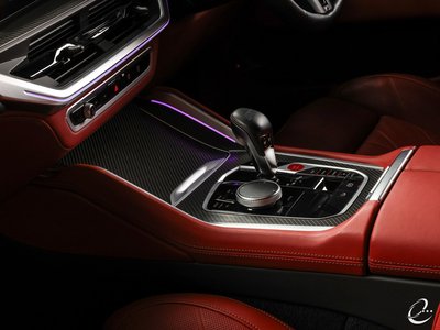 2023 BMW XM 照片 10