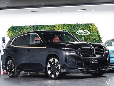 صورة مصغرة 13 لـ 2023 BMW XM
