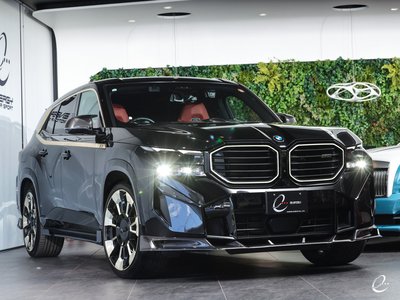صورة مصغرة 14 لـ 2023 BMW XM