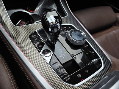 2021 BMW X5 thumbnail 12