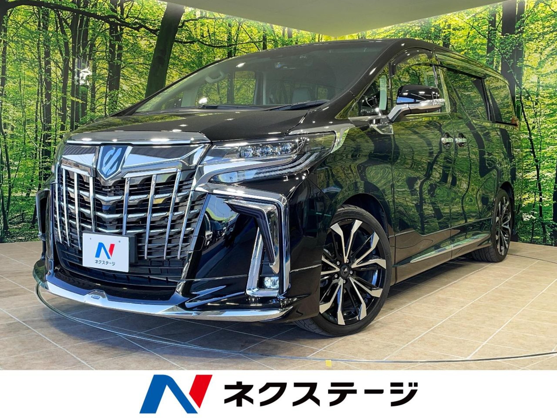TOYOTA ALPHARD - View 1
