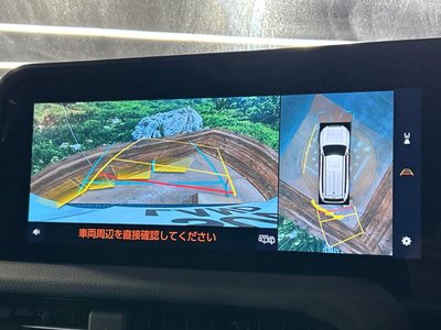 TOYOTA LAND CRUISER 250 - 5