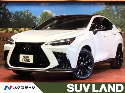 LEXUS NX - 1