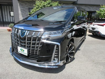 2023 Toyota ALPHARD — миниатюра 21