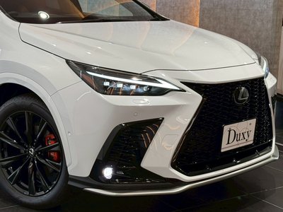 LEXUS NX - 10
