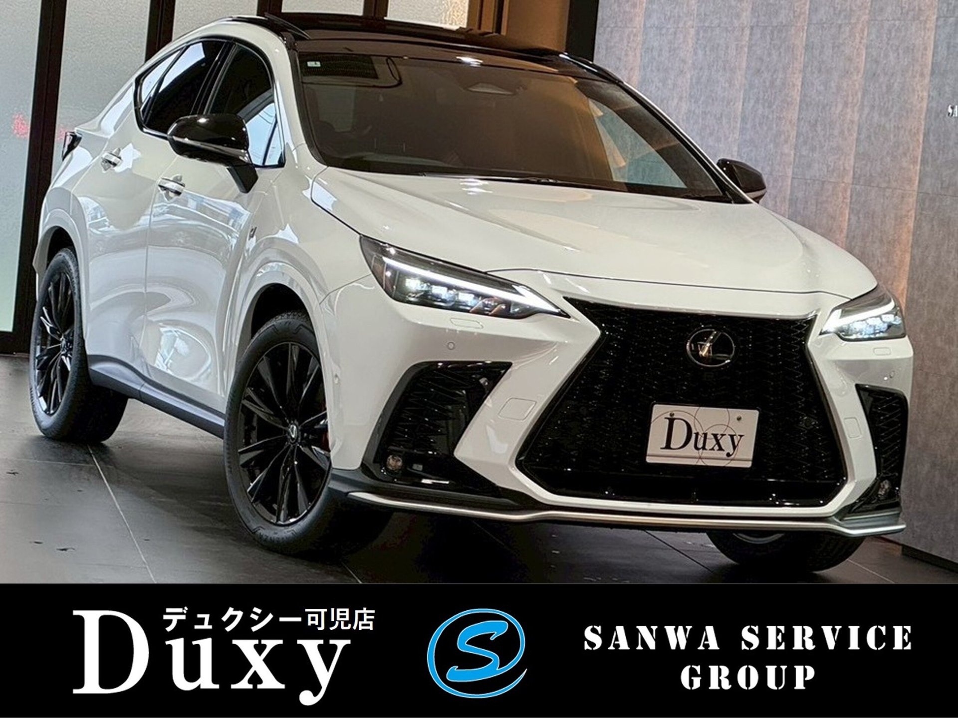 LEXUS NX - View 1