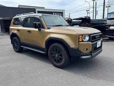 TOYOTA LAND CRUISER 250 - 10