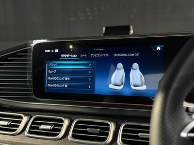 2025 Mercedes-BENZ GLS — миниатюра 11