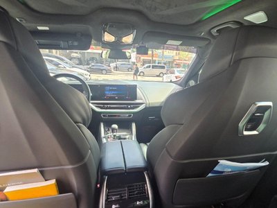 2023 BMW XM 照片 10