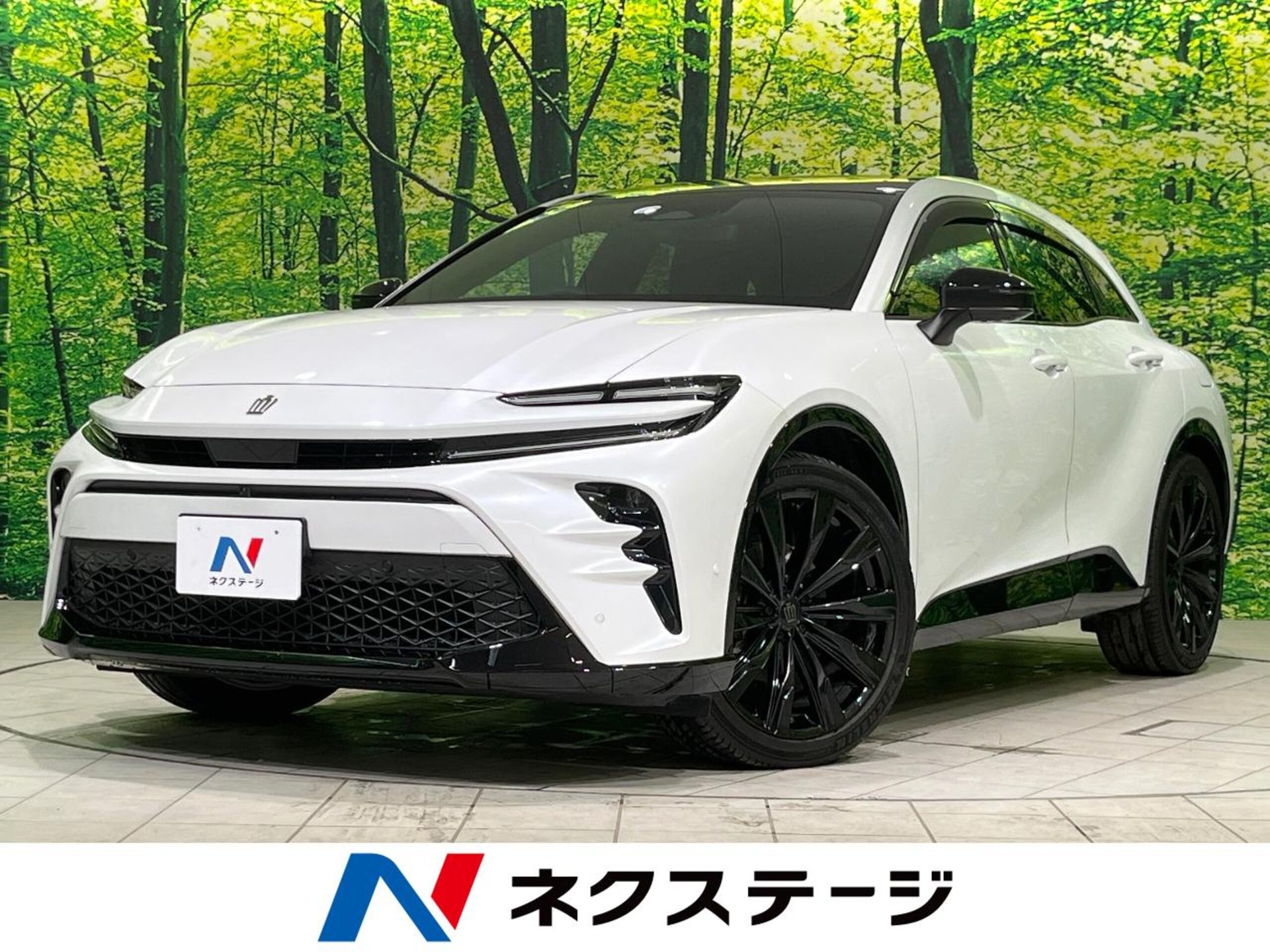 TOYOTA CROWN SPORT - View 1