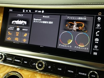 2023 Bentley CONTINENTAL 照片 96