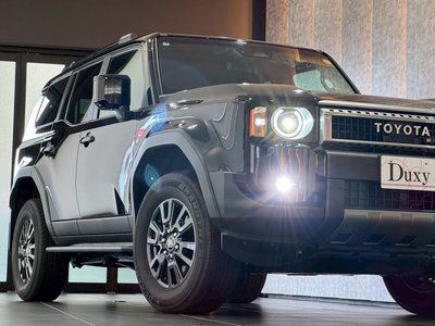 2025 Toyota LAND CRUISER 250 photo 8