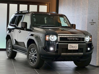 2025 Toyota LAND CRUISER 250 photo 6
