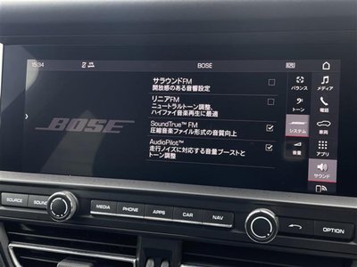 2020 Porsche MACAN 缩略图 12