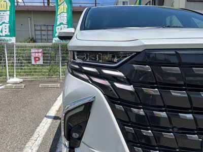 2023 TOYOTA ALPHARD thumbnail 29