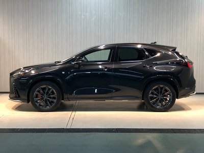 LEXUS NX - 8