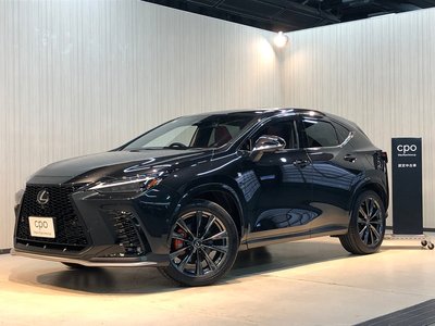 LEXUS NX - 1