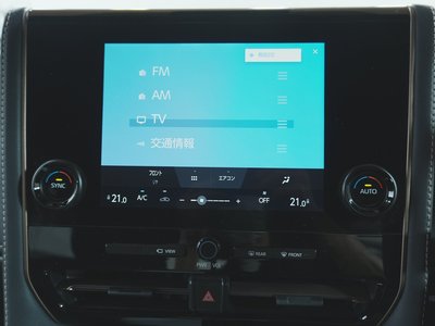 صورة مصغرة 31 لـ 2025 TOYOTA ALPHARD