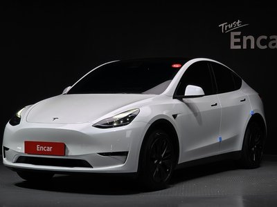 TESLA MODEL Y - 1