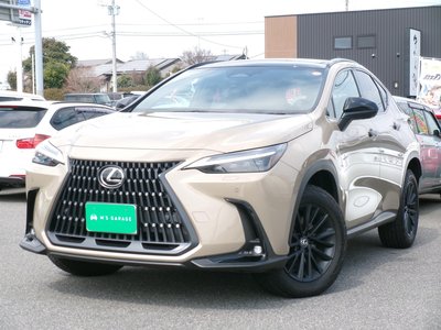 LEXUS NX - 1