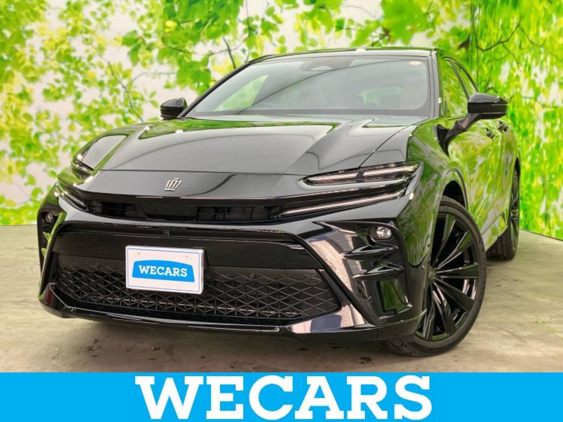 TOYOTA CROWN SPORT - View 1