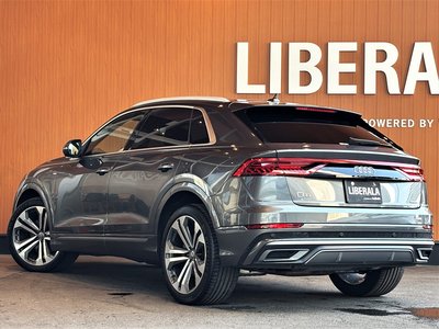 2019 AUDI Q8 thumbnail 72