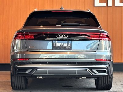 2019 AUDI Q8 thumbnail 66