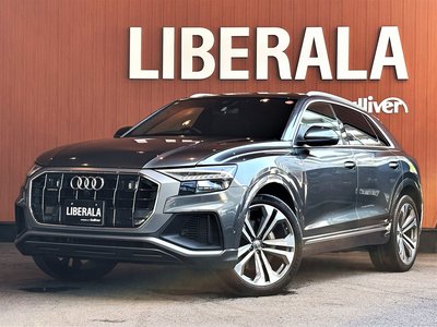 2019 AUDI Q8 thumbnail 70