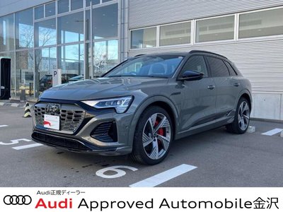 2025 AUDI Q8 E-TRON — фото 1