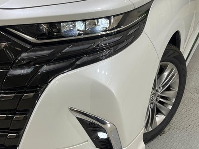 2024 TOYOTA ALPHARD 缩略图 12