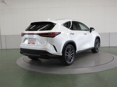 LEXUS NX - 6