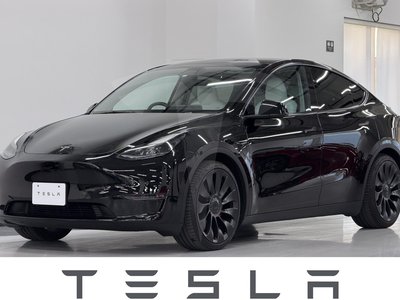 TESLA MODEL Y - 1