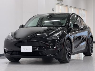 TESLA MODEL Y - 7