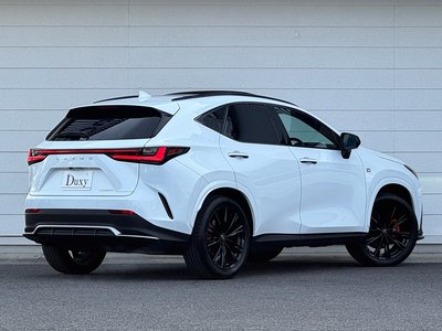 LEXUS NX - 10