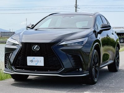 LEXUS NX - 7