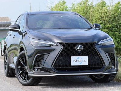 LEXUS NX - 1