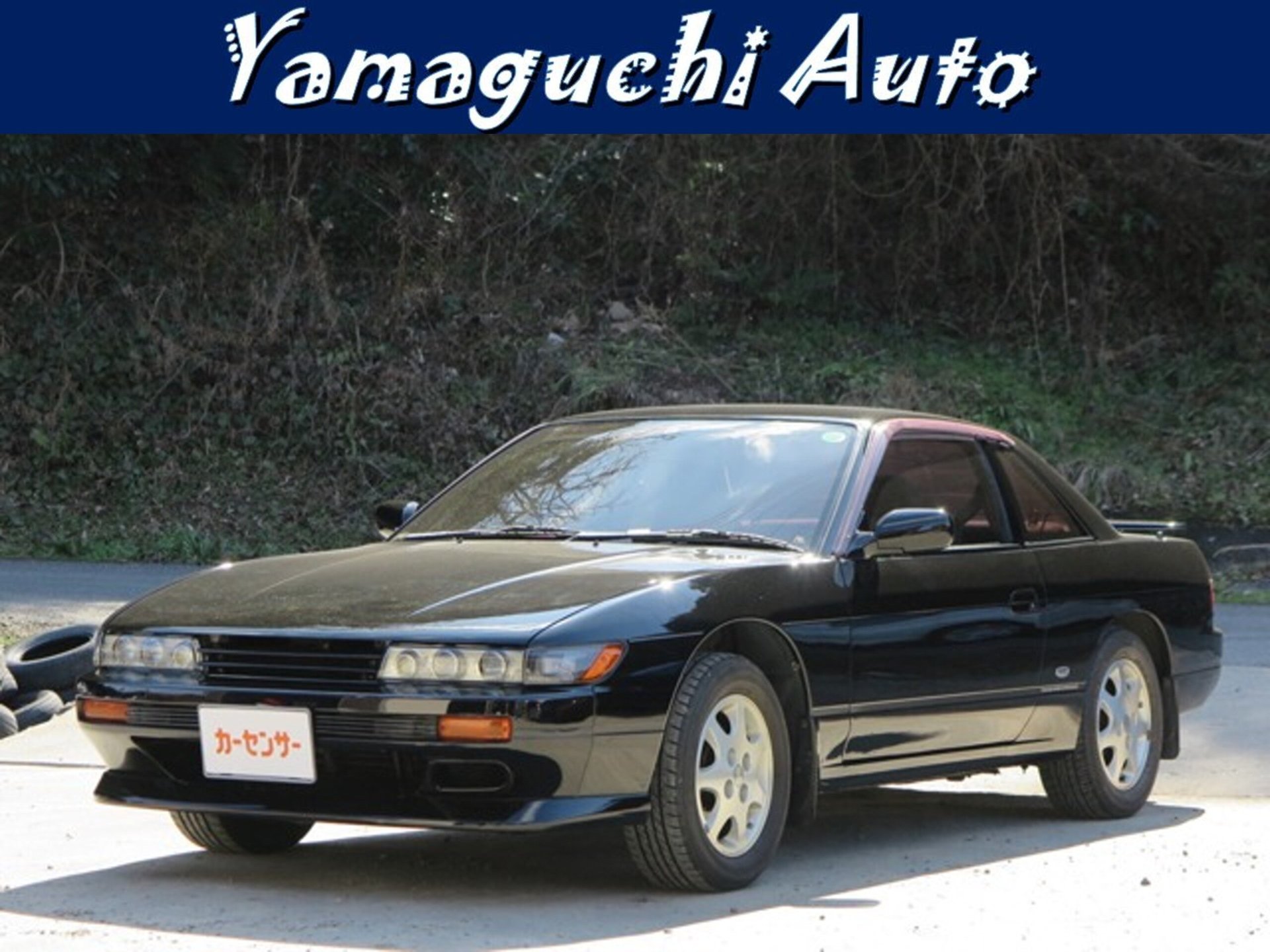 NISSAN SYLVIA - View 1