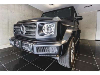 2019 Mercedes-BENZ G-CLASS 照片 8