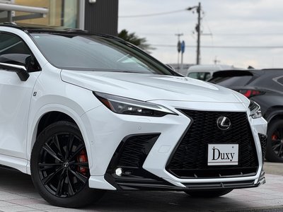 LEXUS NX - 10