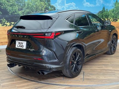 صورة مصغرة 60 لـ 2024 Lexus NX