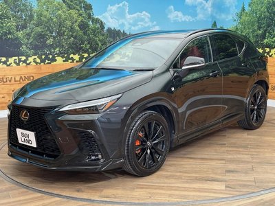 صورة مصغرة 17 لـ 2024 Lexus NX