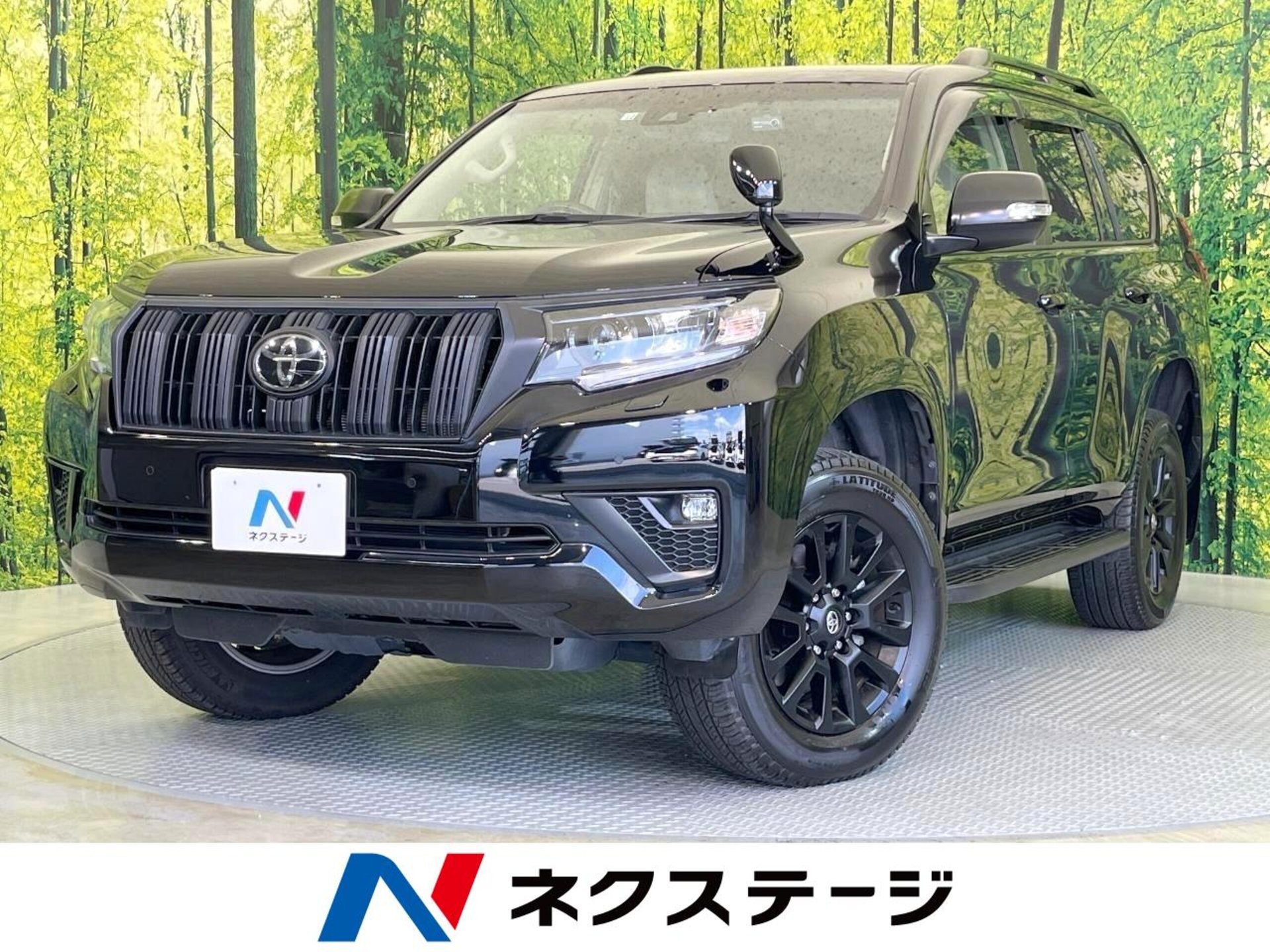 TOYOTA LAND CRUISER PRADO - View 1