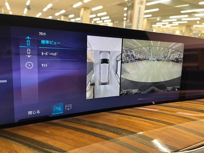 2025 Cadillac ESCALADE 缩略图 41